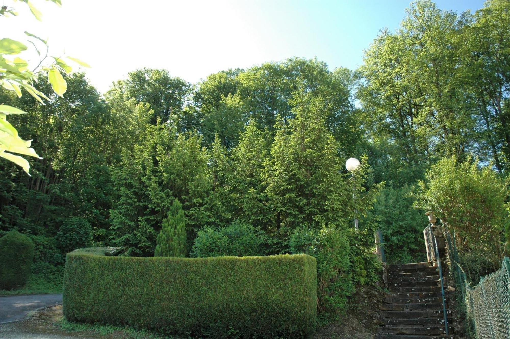 Hotel Et Studios D'Orfeuil Bourbonne-les-Bains Exterior foto