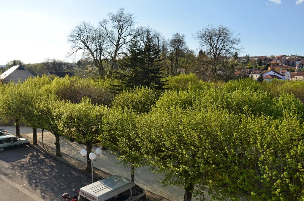 Hotel Et Studios D'Orfeuil Bourbonne-les-Bains Habitación foto