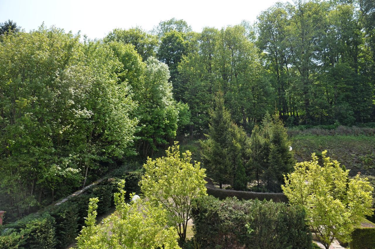 Hotel Et Studios D'Orfeuil Bourbonne-les-Bains Exterior foto